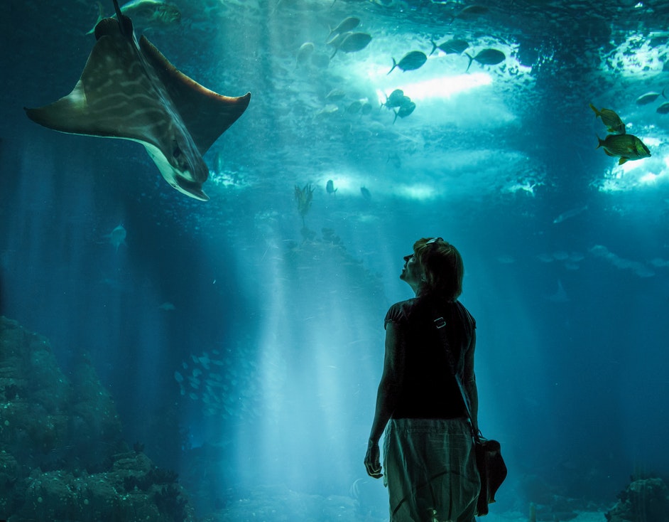 A woman standing in front of the glass at an aquarium. 