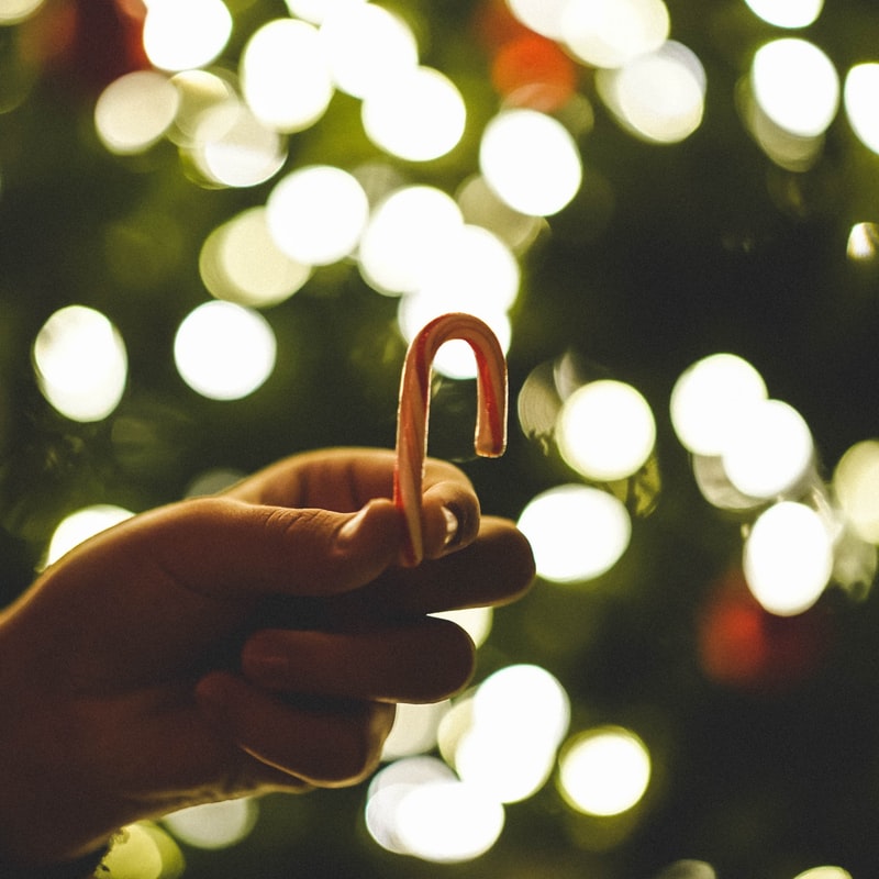 A person holding a candy cane beside twinkling lights at a holiday parade. 