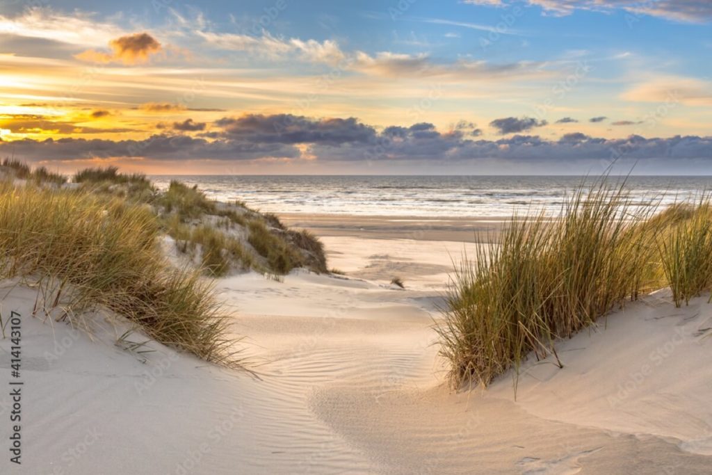 Beach sand dunes