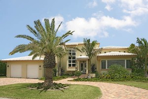 619-palm_01